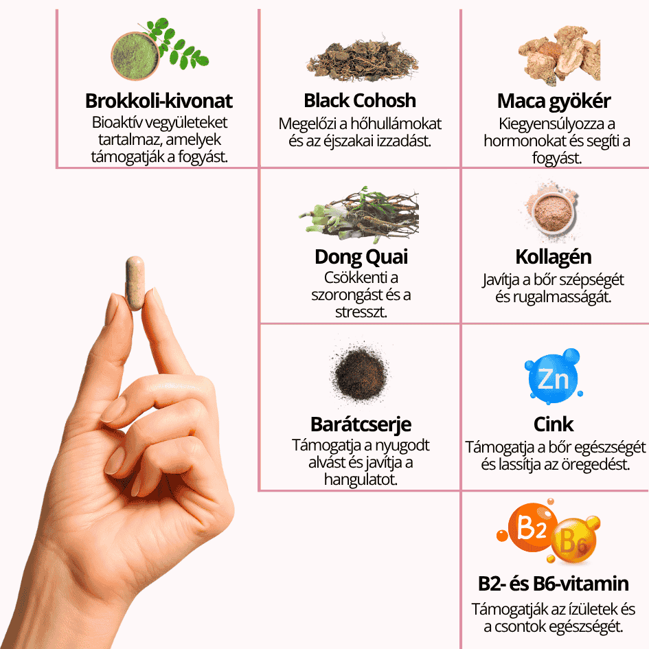 Ecolady Menopause